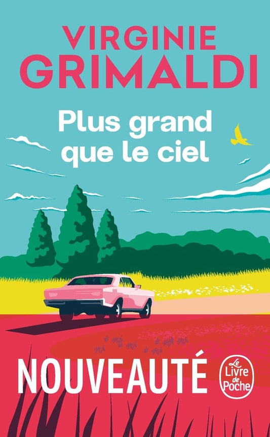 Plus grand que le ciel - Virginie Grimaldi