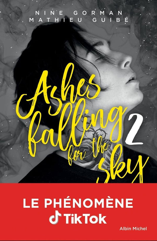 Ashes falling for the Sky - Tome 2 - Nine Gorman & Mathieu Guibé (seconde main)